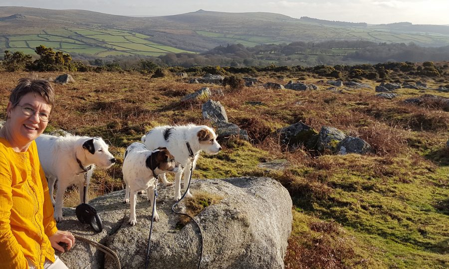 hiking the moors with dogs